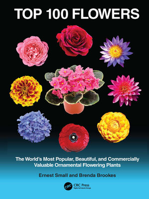 cover image of Top 100 Flowers